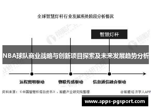NBA球队商业战略与创新项目探索及未来发展趋势分析