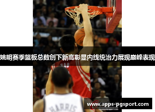 姚明赛季篮板总数创下新高彰显内线统治力展现巅峰表现
