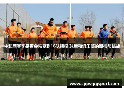 中超新赛季是否会恢复到16队规模 球迷和俱乐部的期待与挑战