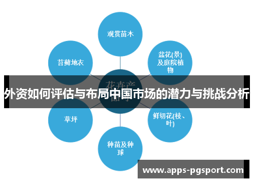 外资如何评估与布局中国市场的潜力与挑战分析