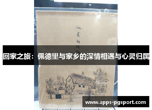 回家之旅：佩德里与家乡的深情相遇与心灵归属