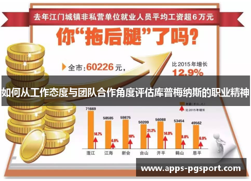 如何从工作态度与团队合作角度评估库普梅纳斯的职业精神