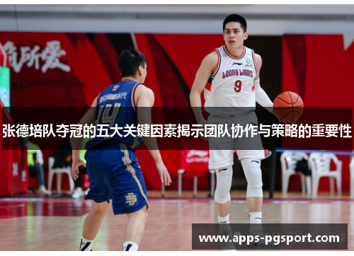 张德培队夺冠的五大关键因素揭示团队协作与策略的重要性